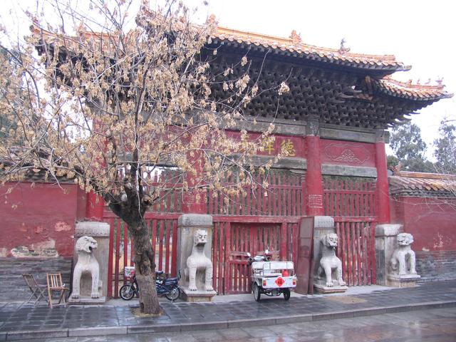 孔府的介绍，孔府的介绍作文（探访曲阜孔庙、孔府和孔林）