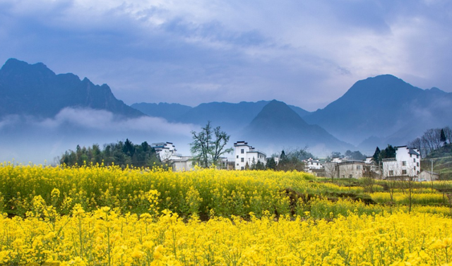 清明节故事，清明节故事来历简短50字（清明节你不知道的传说故事）