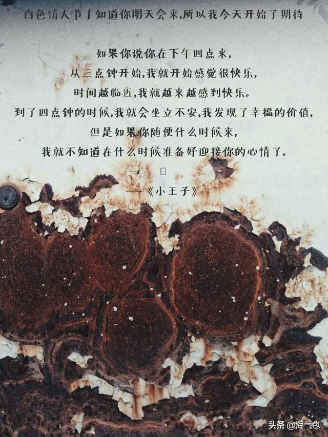 12个月都有什么情人节，二月没过情人节的今天补上