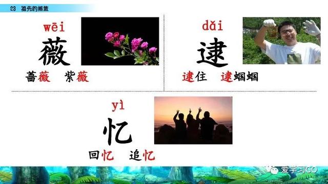 赛跑的拼音，赛跑的拼音怎么读（部编版二年级下册第23课《祖先的摇篮》知识点+图文讲解）