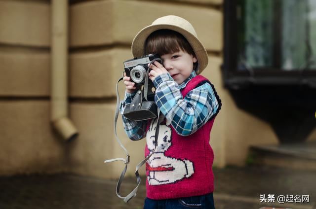 枕上书怀中猫网名，枕上书怀中猫（有种朦胧的勃勃生气）