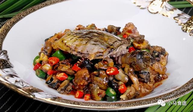 蒸甲鱼的做法，怎样做清蒸甲鱼（11款甲鱼做法）