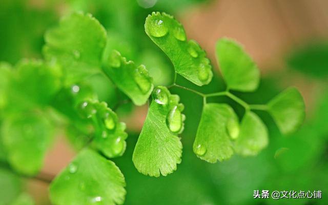 留恋不舍的句子，对一个地方留恋不舍的句子（十首深情唯美相思词）