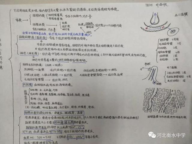 电脑中怎样把白纸变成横格纸，阅卷老师狂赞的“衡水体”书写视频曝光