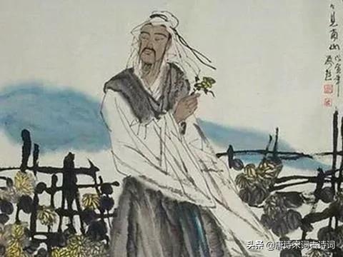 花落知多少是哪首诗，梦里花落知多少全诗（孟浩然的《春晓》：没有欢喜）