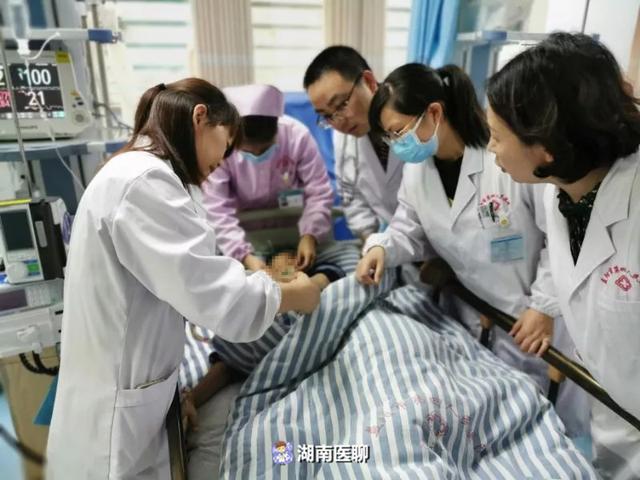 虎尾兰的功效与作用，虎尾兰的功效与作用及性味（专家：蜘蛛毒性莫小看）