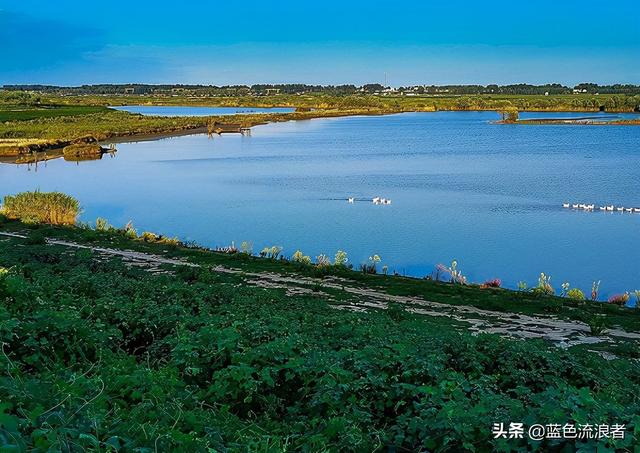 长江三角洲地区的核心城市是什么，哪个城市是长江三角洲的核心城市（为何安徽这个城市）