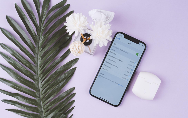 plu小东，PLU小东去哪了（入门级TWS耳机横评——两款热门国产之作）