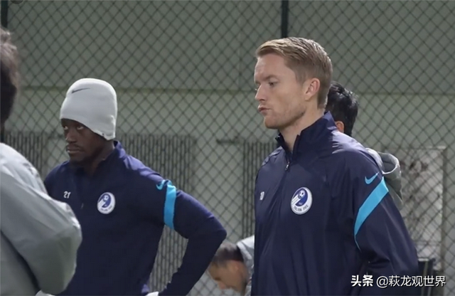 足球王是谁，足球之王是谁（为挽留瑞典外援太慷慨了）