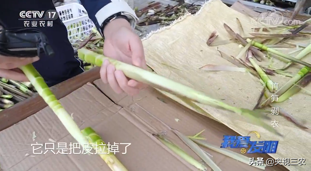 竹笋怎么剥皮，新鲜竹笋怎么剥皮详细图解（有了“王万能”发明的神器）