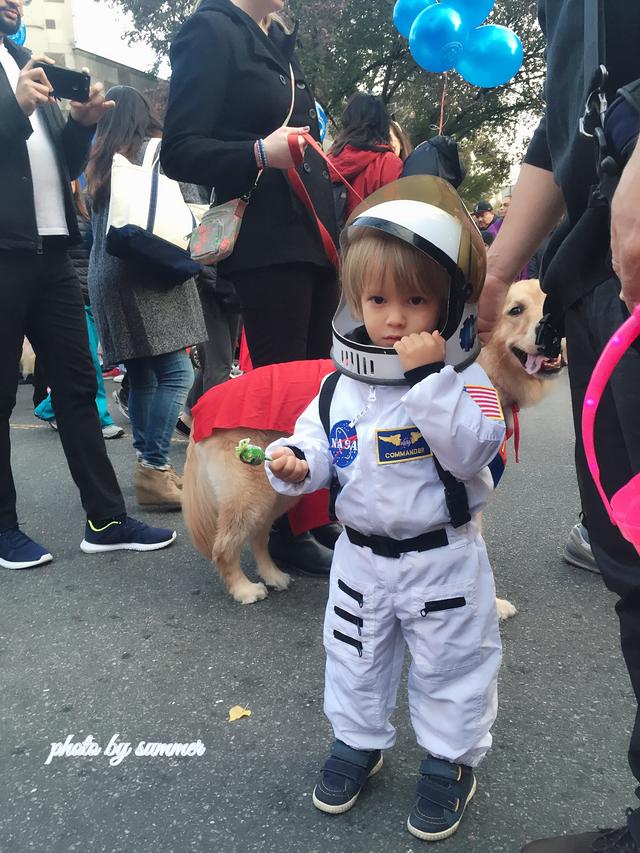 美国万圣节是什么节日 美国人怎样过万圣节，美国万圣节是什么节日（看美国人过万圣节有多疯狂）