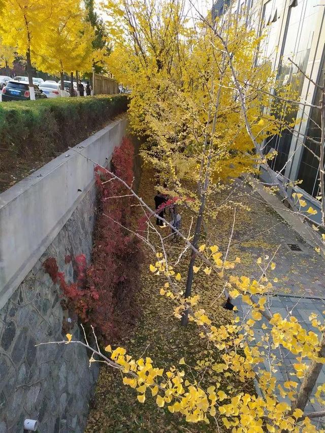 辽宁科技大学宿舍，2021年辽宁科技大学新生宿舍条件图片环境怎么样（<十五>辽宁科技大学）