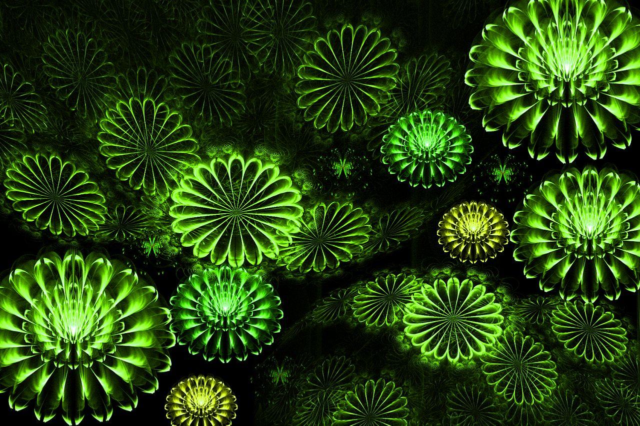 分形艺术照的特点，艺术照分什么风格（分形艺术插图，美！）