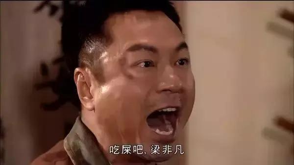 倒鸭子是什么意思，俗话说死鸭子是什么意思（方言成了多少人的快乐源泉）