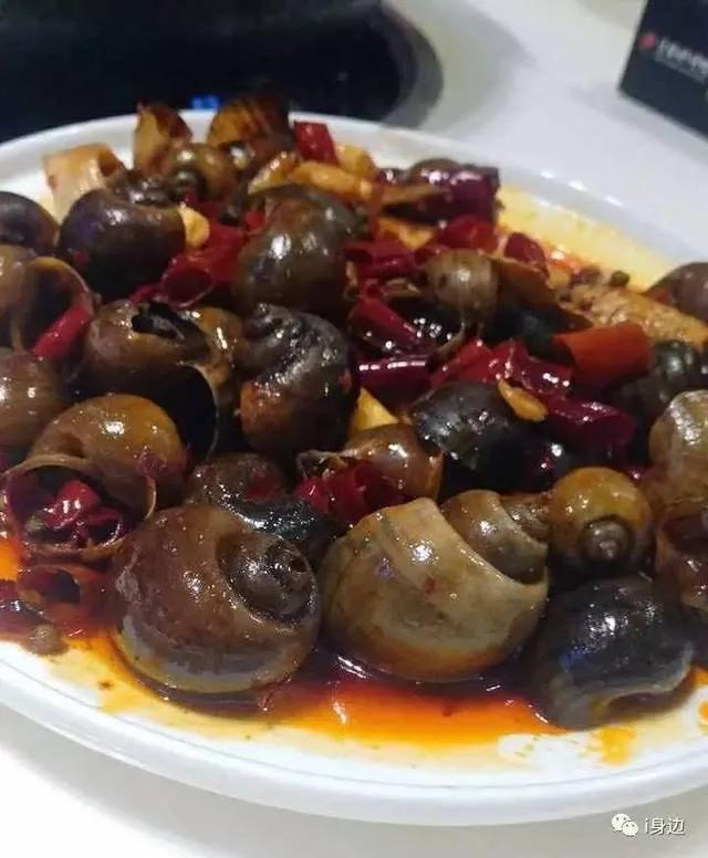 福寿螺到底能不能吃，福寿螺可以吃吗（福寿螺到底能不能吃）