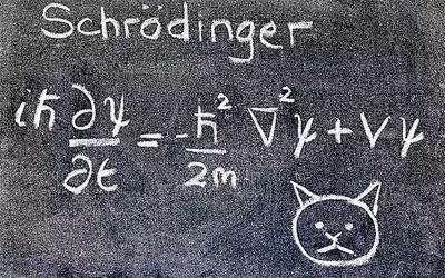 薛定谔的猫理论，薛定谔的猫是什么理论（薛定谔方程则敲开了微观世界大门）