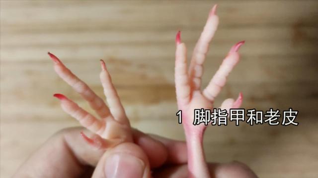 鸽子喜欢吃什么，家养的鸽子吃什么（23年一级大厨专业详细讲解）