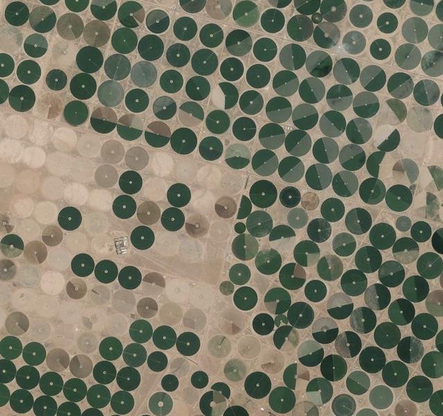 农业地域类型有哪些，农业地域类型有哪些上海版（你知道经常听说的处方农业、节水农业和立体农业）