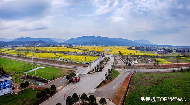 乡村道路名称大全，村庄道路名称大全（全国“十大最美农村路”“最具人气路”出炉）