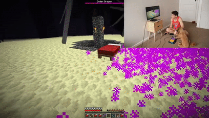 我的世界狗怎么驯服，网友教自家狗子玩《我的世界》