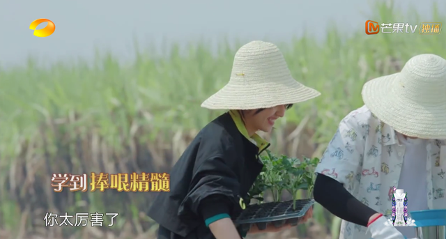 向往的生活开局推到张子枫，张子枫是谁推荐到向往的生活（《向往的生活4》张子枫被疑社恐）