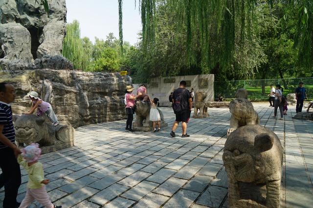 中国最大的动物园，中国动物园排名（中美动物园大PK）