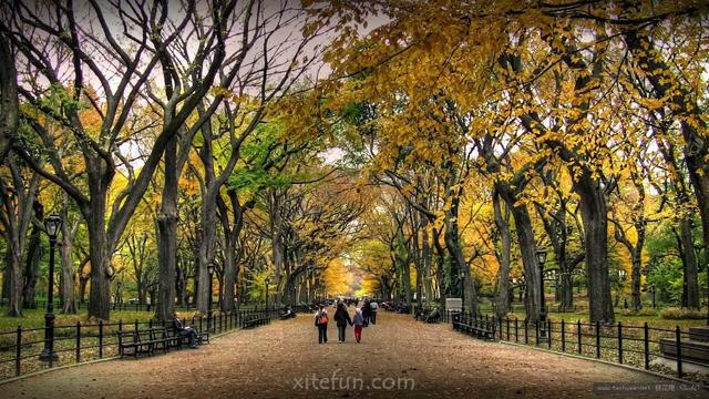 描写秋天思念的句子，秋天的思念句子短句唯美（一念秋风起，一念相思长）