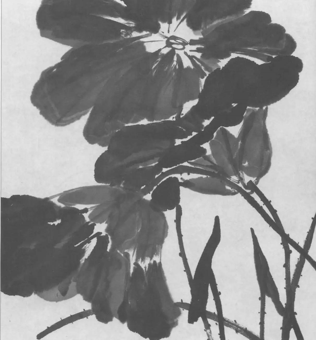 水墨画初学者入门教程，水墨画入门教程（图文教程：画水墨荷花）