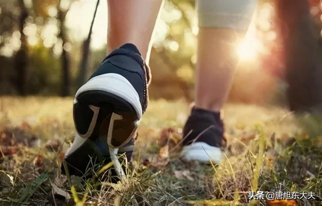 安素粉的作用与功效和禁忌，草鱼的营养价值和功效及禁忌（“口、眼、脚、手”要管好）