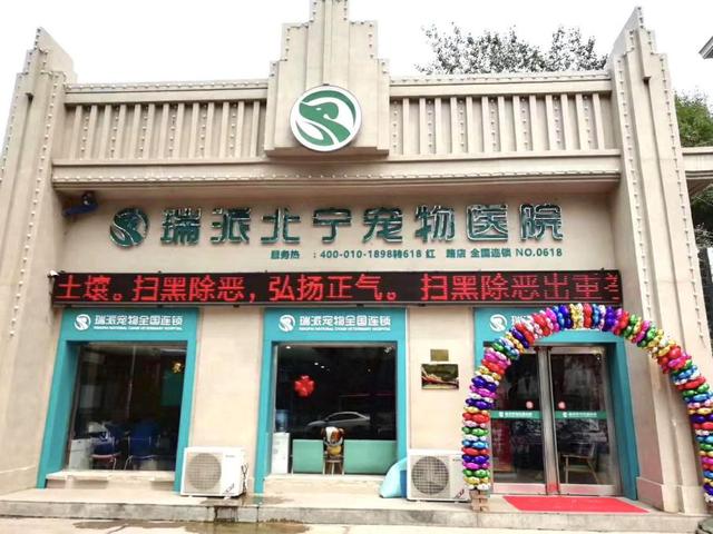 哈尔滨宠物医院，十大哈尔滨宠物医院排名（瑞派宠物医院告诉你最牛医院的正确打开方式）
