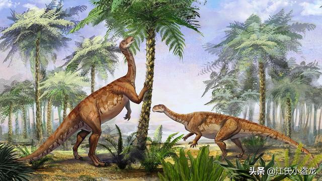 re网名的含义，Re微信昵称（2020古生物学家到底命名了多少种恐龙）