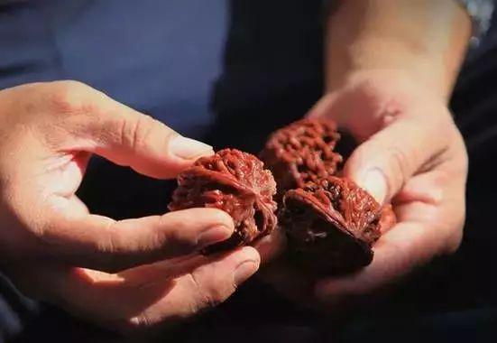 文玩核桃狮子头36万，赌核桃（文玩核桃狮子头大全）