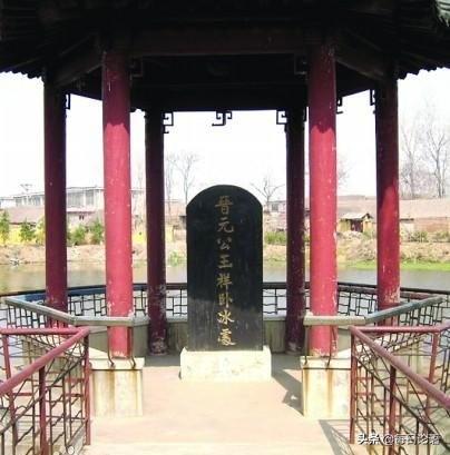 乌鸦反哺羔羊跪乳，乌鸦反哺之情（每日论语：夫子说）