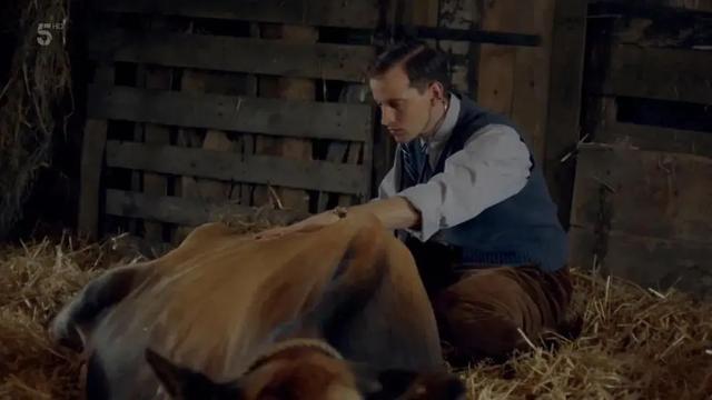 9.4的高分英剧，评分9.4的最强英剧《万物生灵》