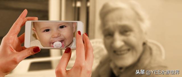 鱼拉白便一定是肠炎吗，鱼便白色就是肠炎吗（还好早学会了应对办法）