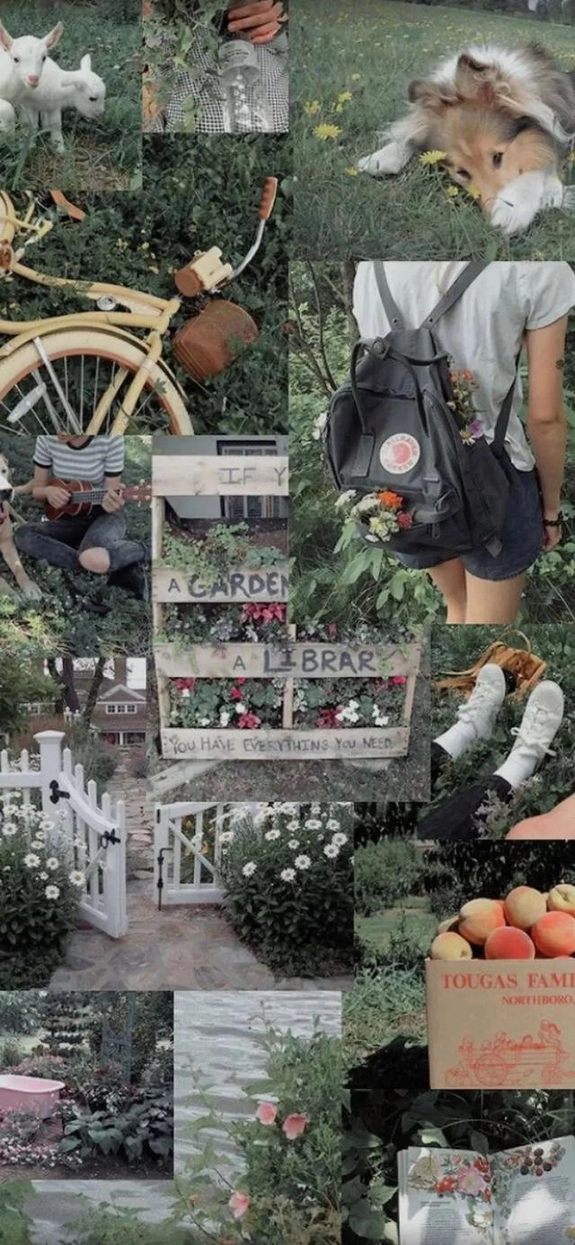 全面屏壁纸，苹果全面屏最火壁纸（超赞全面屏壁纸图片）