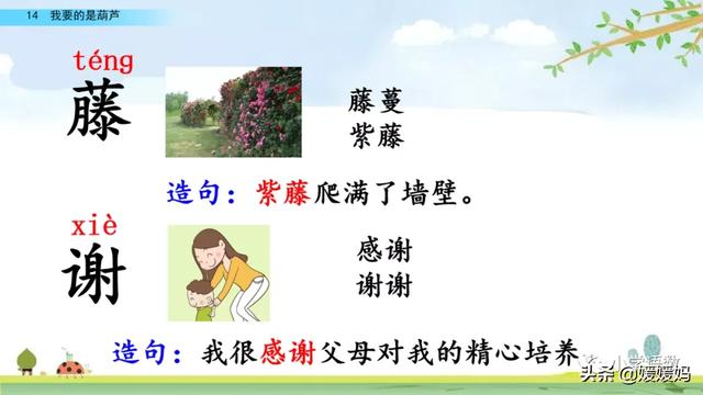 什么的枝叶填空，什么枝叶填空二年级（部编版二年级上册第14课《我要的是葫芦》课件及同步练习）