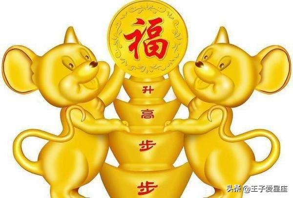 属鼠的性格和脾气，属鼠人的性格是什么样的（生肖属鼠人的命运、命理、优缺点及本命佛简析）