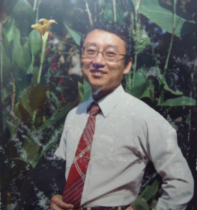 李双江年薪多少，李双江年薪多少 视频（跌落的口碑到底是回不去了）