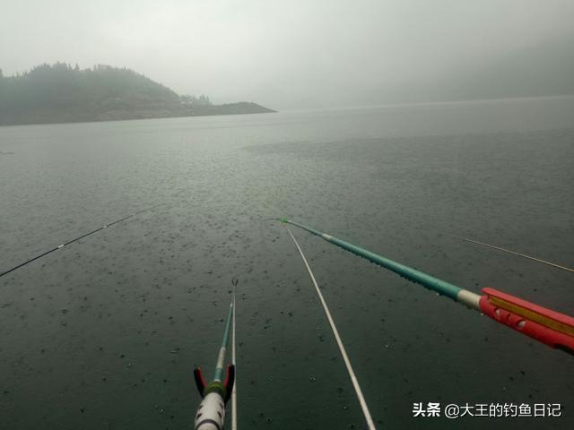 仲春是什么意思，仲夏仲春是什么意思（仲春野钓鲫鱼：深度分析）