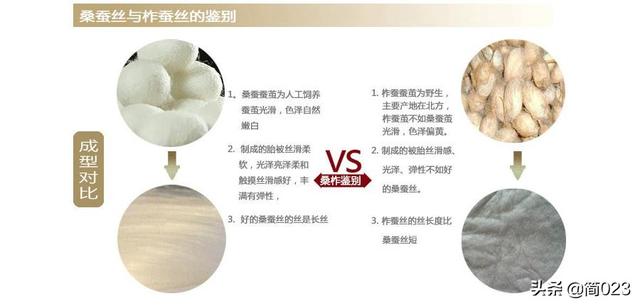 超细纤维是什么材质，超细聚酯纤维是什么材质（服装材料学——丝纤维）