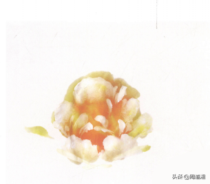 牡丹花头的画法对照表，写意牡丹花头的各种画法