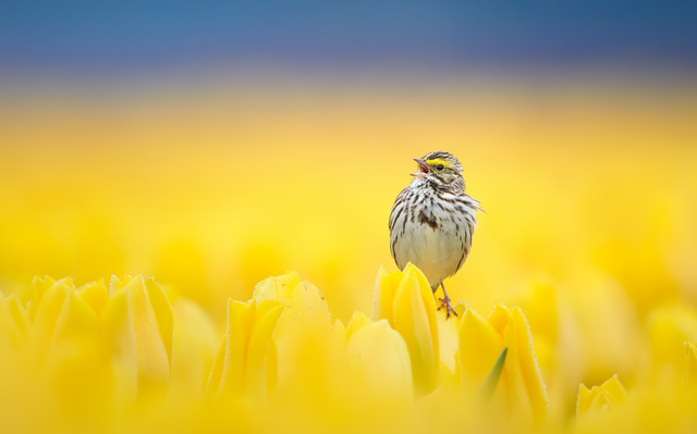 隐忍不发怎么过，隐忍不发是成语吗（怒而不发的星座）