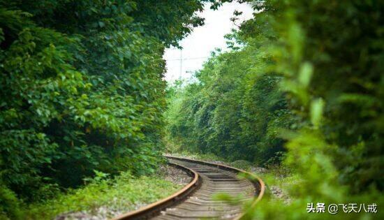 南京景点介绍，南京一日游必去景点推荐（南京九个不得不去的小众景点）
