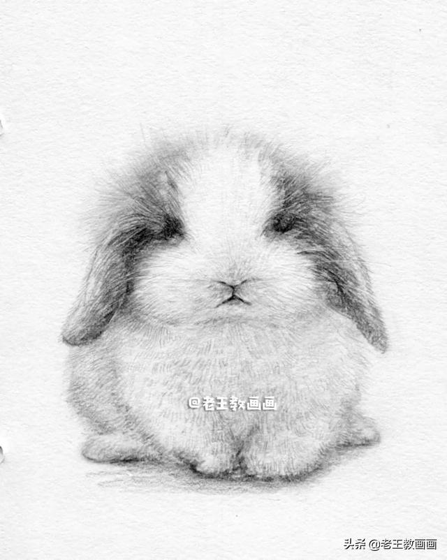 儿童学画小动物：小兔子，儿童学画小动物（教你画一只可爱的兔子）