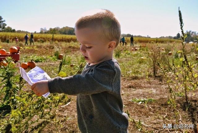 男孩取名屹字好不好，男孩子名字屹字的寓意（才华与颜值并存的男孩名）