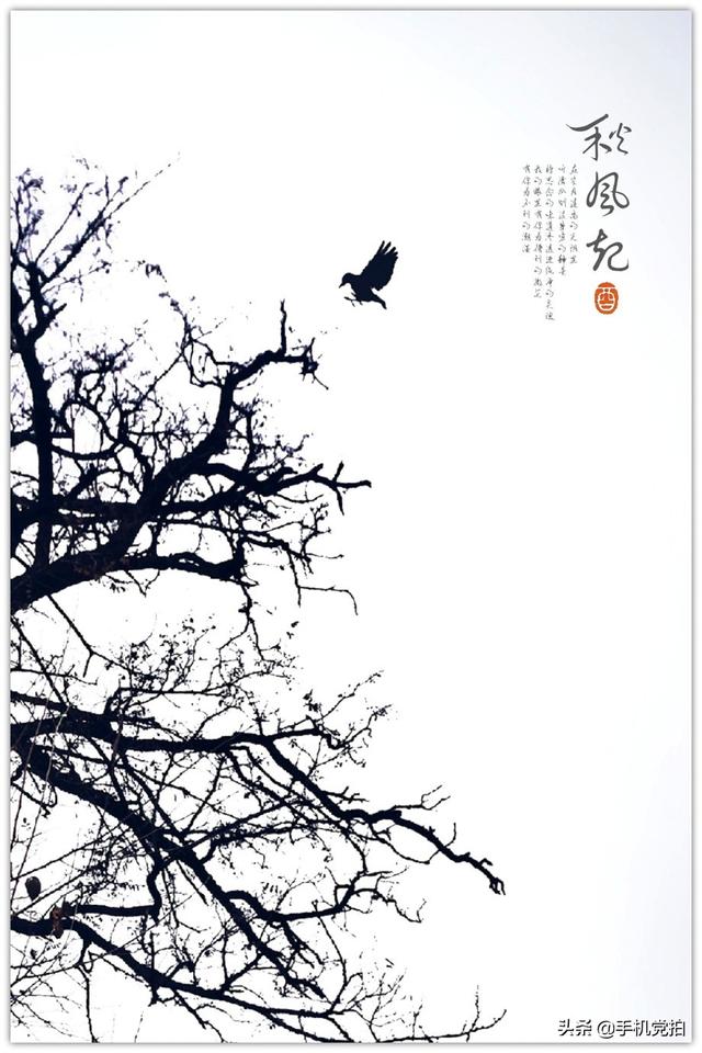 轻烟老树寒鸦什么意思，轻烟老树寒鸦前面一句是什么（不妨跟着“古诗”拍拍看）