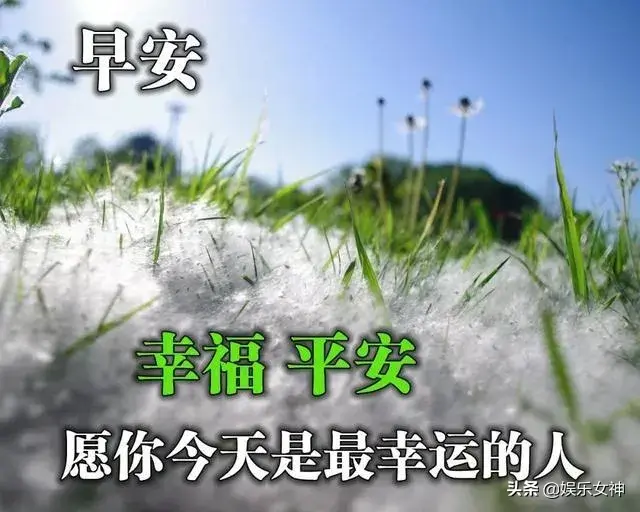 关心人暖心的句子说说心情，关心的话语句句暖人心（微信朋友圈最暖心的心情说说一句话）