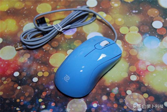 divina跳蚤防治，吡虫啉灭跳蚤（职业FPS选手标配）