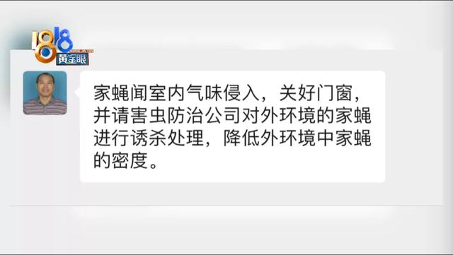 家里很干净为什么有苍蝇，家里经常有苍蝇（“外环境”需要改善）